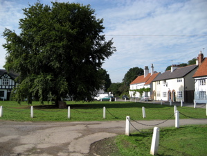 [An image showing Town Green]